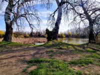 Eladó telek, Szigetcsépen 39.99 M Ft / költözzbe.hu