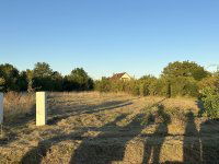 Eladó telek, Adonyban 9.9 M Ft / költözzbe.hu