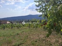Eladó telek, Pécsett, Cserbokros dűlőn 4.7 M Ft