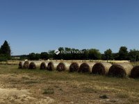 Eladó mezogazdasagi ingatlan, Nagyvázsonyon 160 M Ft
