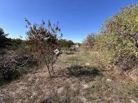 Eladó családi ház, Dávodon 6.99 M Ft, 2 szobás