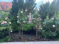 Eladó családi ház, II. kerületben 266.319 M Ft, 6 szobás