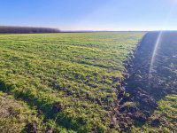 Eladó mezogazdasagi ingatlan, Szolnokon 4.5 M Ft