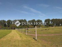 Eladó telek, Dorogon 224 M Ft / költözzbe.hu