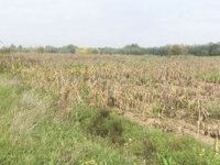 Eladó ipari ingatlan, Alsónémediben 437.5 M Ft