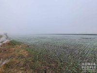 Eladó mezogazdasagi ingatlan, Röszkén 1.9 M Ft