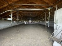 Eladó mezogazdasagi ingatlan, Domaszéken 160 M Ft
