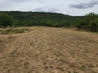 Eladó mezogazdasagi ingatlan, Bajon 16 M Ft / költözzbe.hu