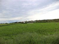 Eladó telek, Pázmándon 29.7 M Ft / költözzbe.hu