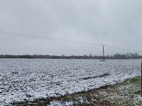 Eladó mezogazdasagi ingatlan, Gyulán 13.5 M Ft