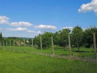 Eladó telek, Győrszemerén 13.9 M Ft / költözzbe.hu