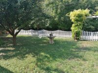 Eladó családi ház, Siklóson 105 M Ft, 3 szobás