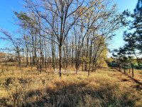 Eladó mezogazdasagi ingatlan