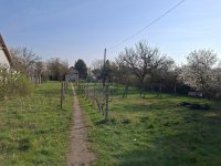 Eladó családi ház, XXI. kerületben 32 M Ft, 1 szobás