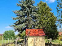 Eladó telek, Pakson 23.9 M Ft / költözzbe.hu