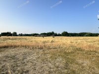 Eladó telek, Ballószögön 17.9 M Ft / költözzbe.hu