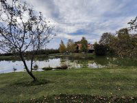 Eladó mezogazdasagi ingatlan