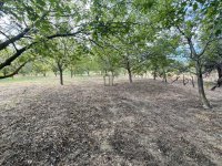 Eladó telek, Szekszárdon 3.5 M Ft / költözzbe.hu
