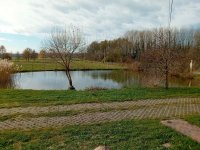 Eladó családi ház, Galambokon 380 M Ft, 22 szobás