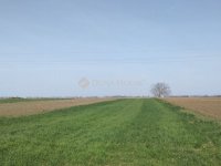 Eladó telek, Polgárdin 10.8 M Ft / költözzbe.hu