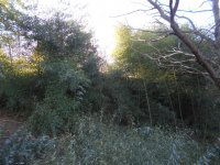 Eladó telek, Zalaegerszegen 9 M Ft / költözzbe.hu