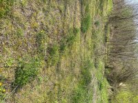 Eladó telek, Zalabéren 2.5 M Ft / költözzbe.hu