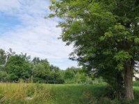 Eladó telek, Győrzámolyon 43.5 M Ft / költözzbe.hu