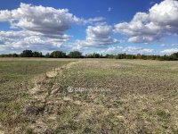 Eladó nyaraló, Mezőtúron 44 M Ft / költözzbe.hu