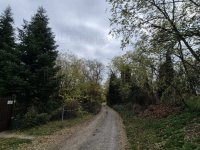 Eladó mezogazdasagi ingatlan, Pázmándfalun 7 M Ft