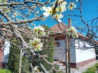 Eladó családi ház, Siófokon 49.9 M Ft, 4 szobás