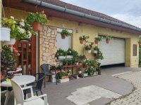 Eladó családi ház, Szigetszentmiklóson 159.9 M Ft, 5 szobás