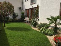 Kiadó téglalakás, albérlet, Pécsett, Anna utcában, 1+1 szobás