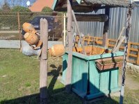 Eladó családi ház, Tiszasason 15 M Ft, 2 szobás