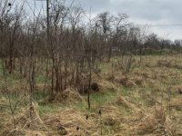 Eladó telek, Szadán 59.9 M Ft / költözzbe.hu