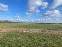 Eladó telek, Taksonyon 30 M Ft / költözzbe.hu