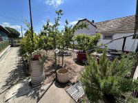 Eladó családi ház, Nagybaracskán 23.99 M Ft, 3 szobás