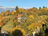 Eladó családi ház, Oroszlányban 52 M Ft, 3 szobás