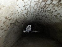 Eladó ipari ingatlan, Solymáron 330 M Ft / költözzbe.hu