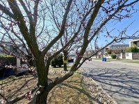 Eladó téglalakás, Biatorbágyon 149.9 M Ft, 5 szobás