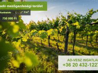 Eladó mezogazdasagi ingatlan, Keréktelekin 0.75 M Ft