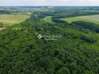 Eladó családi ház, Harsányban 399 M Ft, 7 szobás