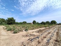 Eladó telek, Nagykőrösön 7.595 M Ft / költözzbe.hu