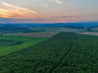 Eladó mezogazdasagi ingatlan